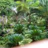 DSC01017