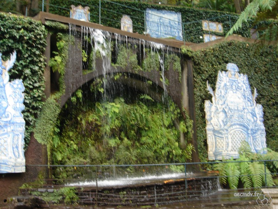 DSC01019