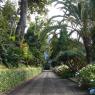 DSC01037
