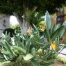 Tenerife-015