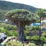 Tenerife-018
