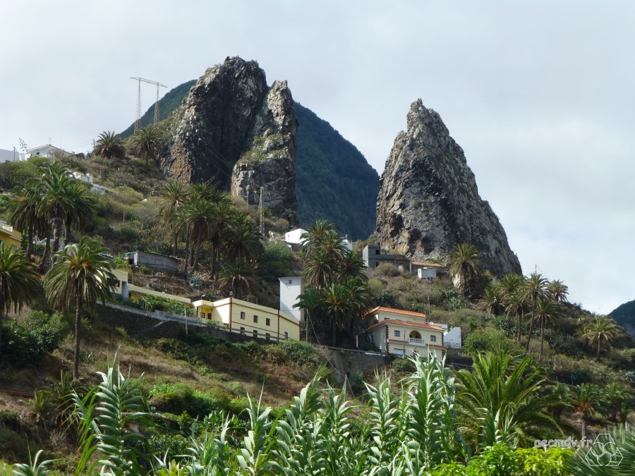 Tenerife-028