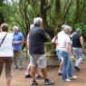 Tenerife-043