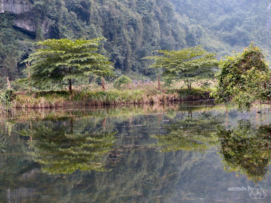 05_Baie-d-Halong-terrestre-Ninh-Binh