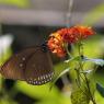 20_Jardin