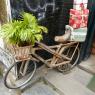 26_Rue-de-Hoi-An