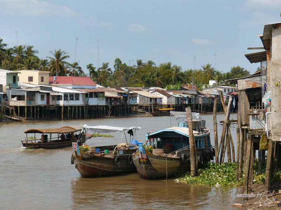 31_-Balade-sur-Mekong-Cai-Be