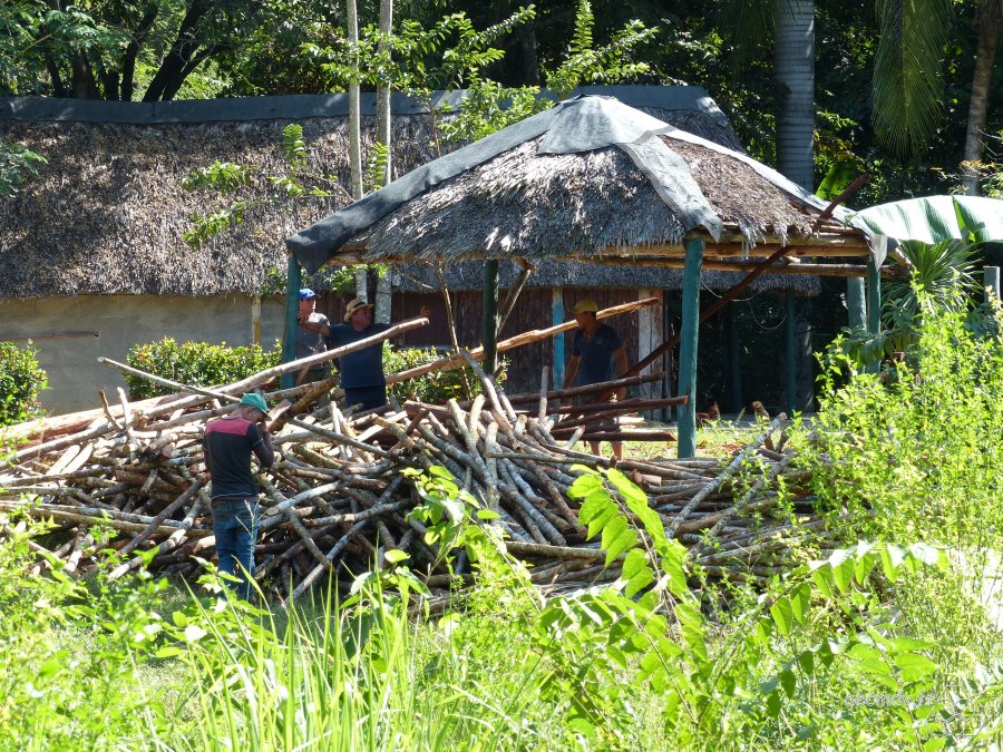 Cuba_11-23nov2016-585