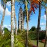Cuba_11-23nov2016-635