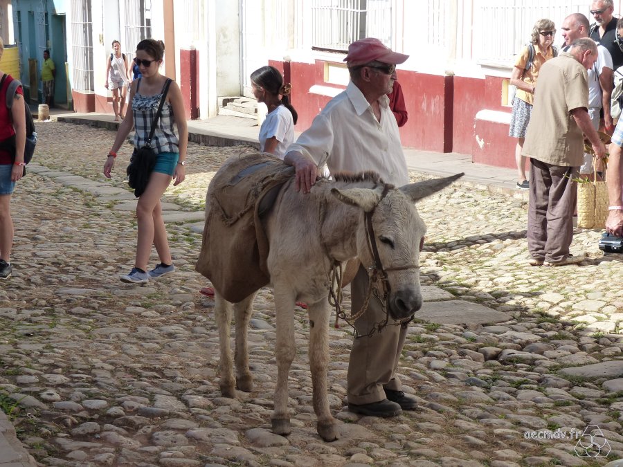 Cuba_11-23nov2016-677