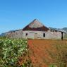 Cuba_11-23nov2016-126