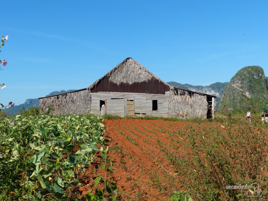 Cuba_11-23nov2016-126