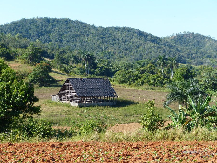 Cuba_11-23nov2016-130