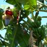 Cuba_11-23nov2016-153
