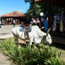 Cuba_11-23nov2016-172