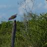 Cuba_11-23nov2016-244