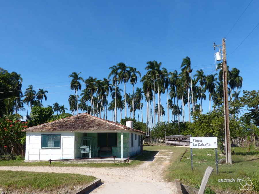Cuba_11-23nov2016-321