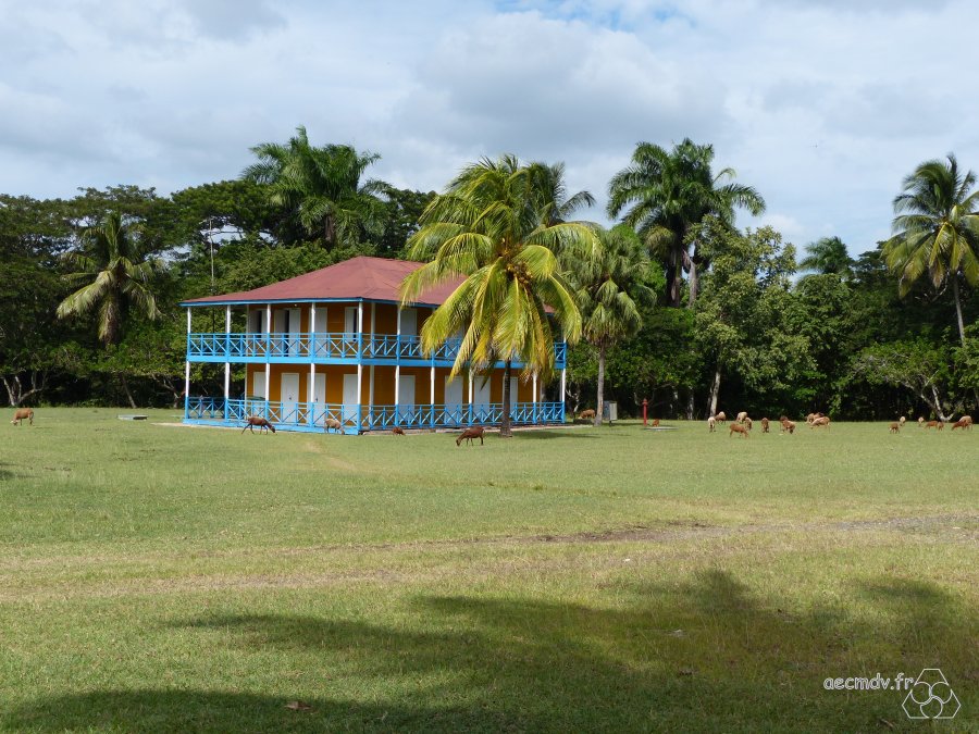 Cuba_11-23nov2016-462