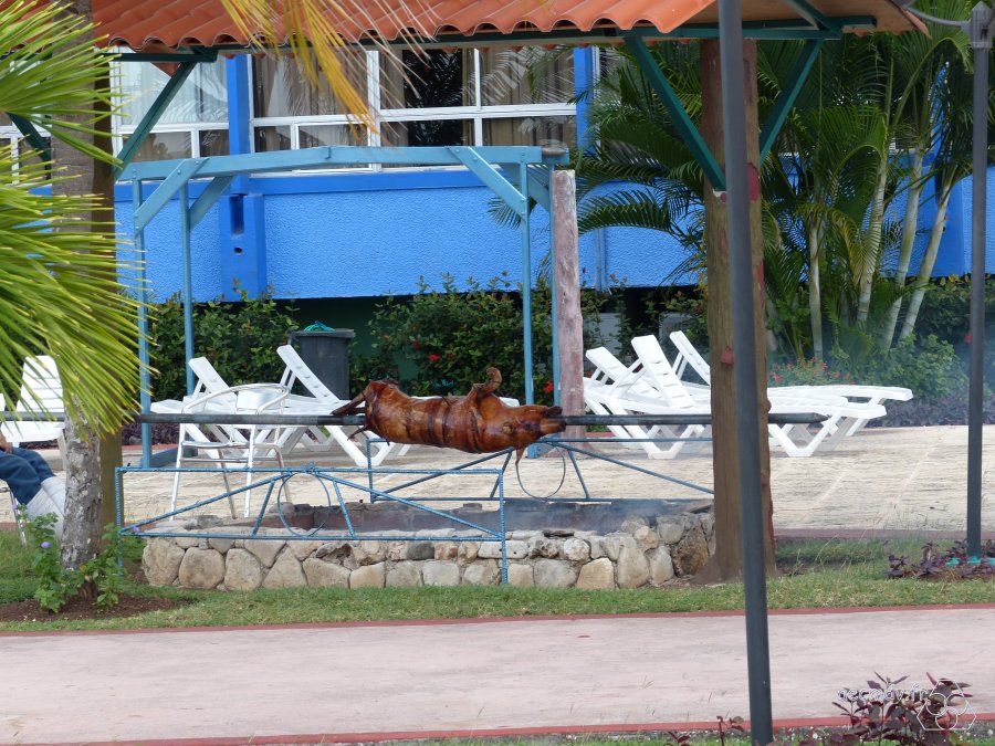 Cuba_11-23nov2016-486