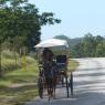Cuba_11-23nov2016-507