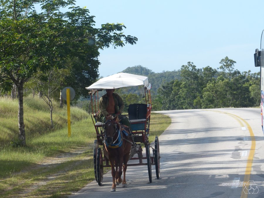 Cuba_11-23nov2016-507