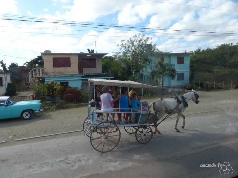 Cuba_11-23nov2016-514