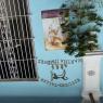 Cuba_11-23nov2016-535