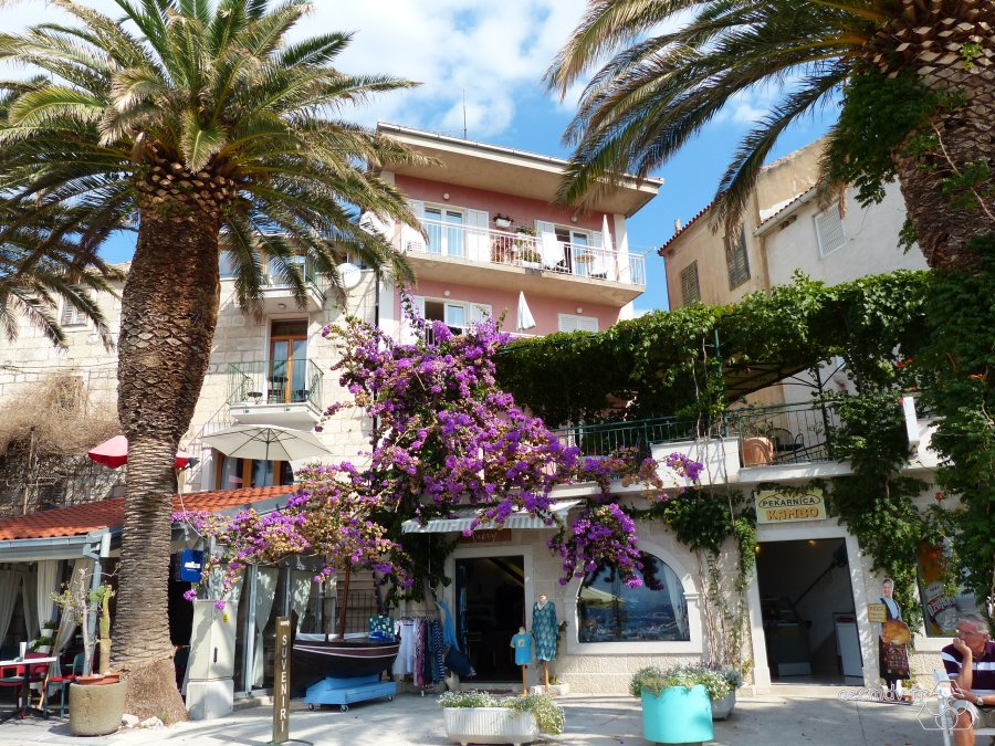 podgora16