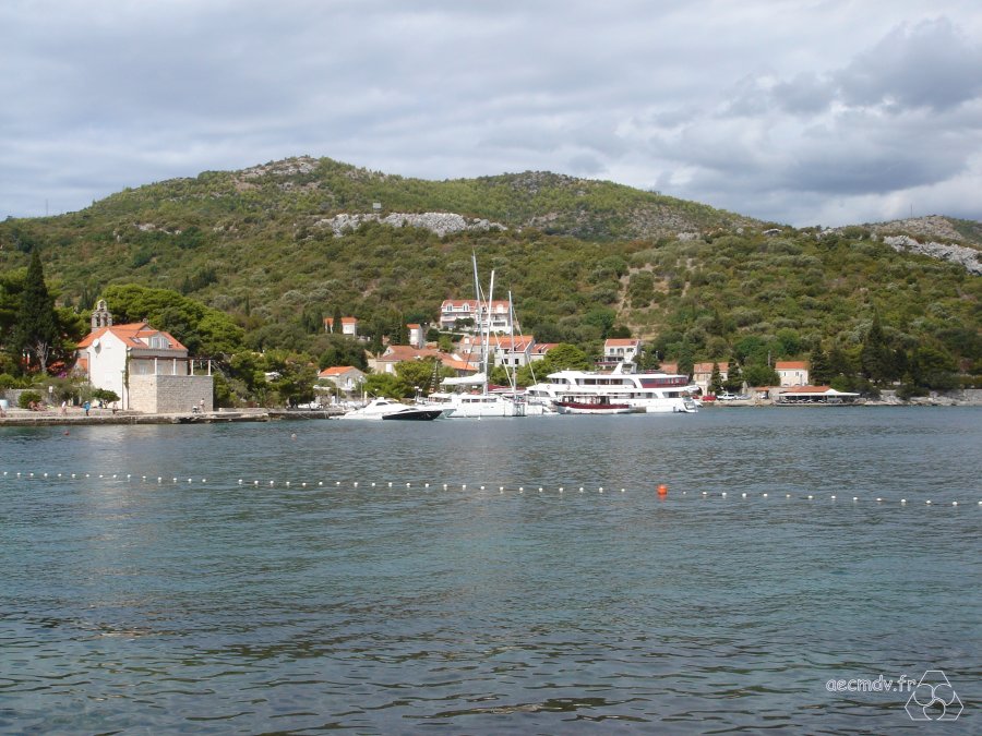 DSC01143