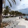 split_17