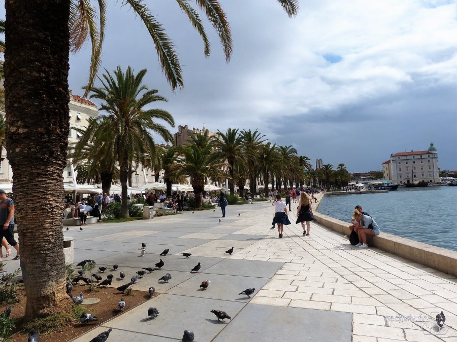 split_17