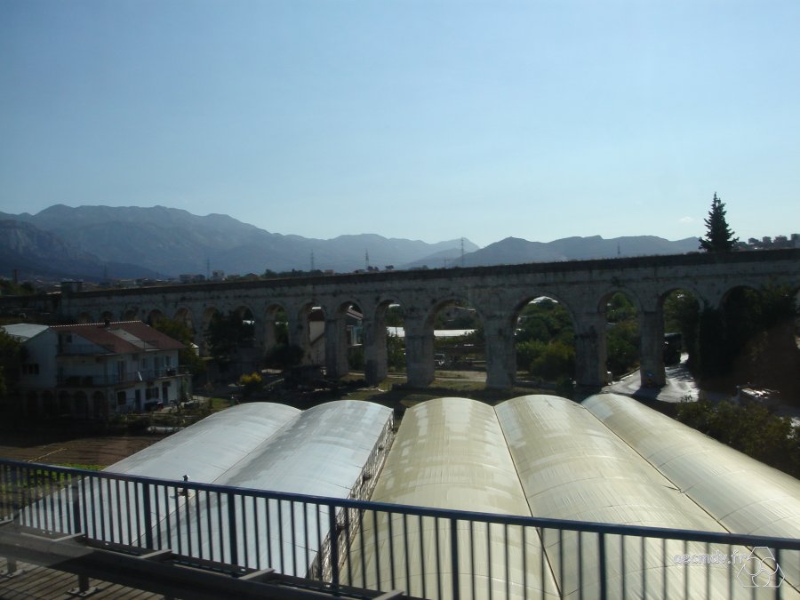DSC01161