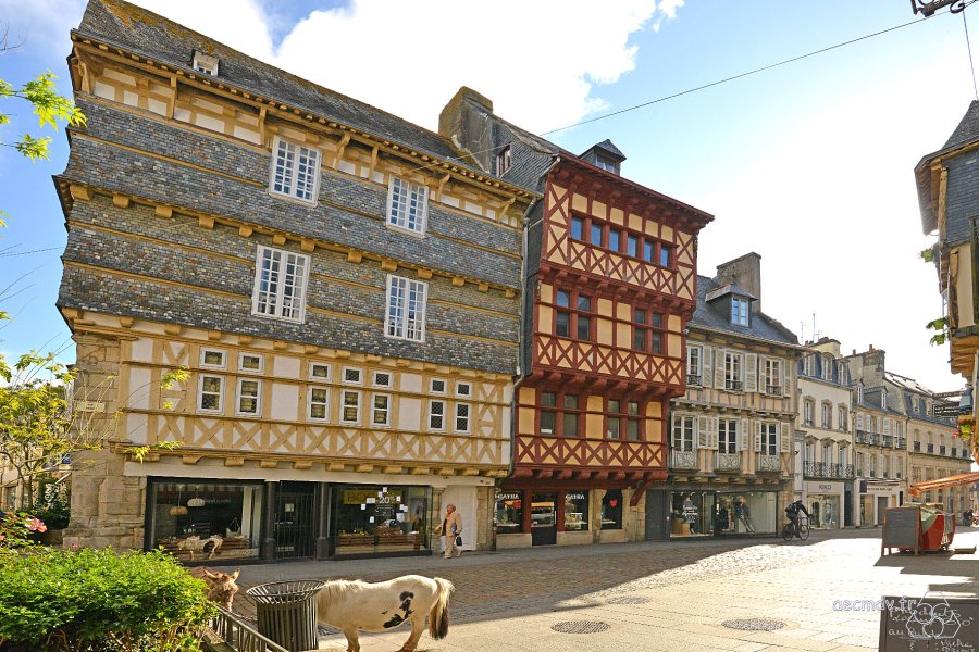 JLP_0935