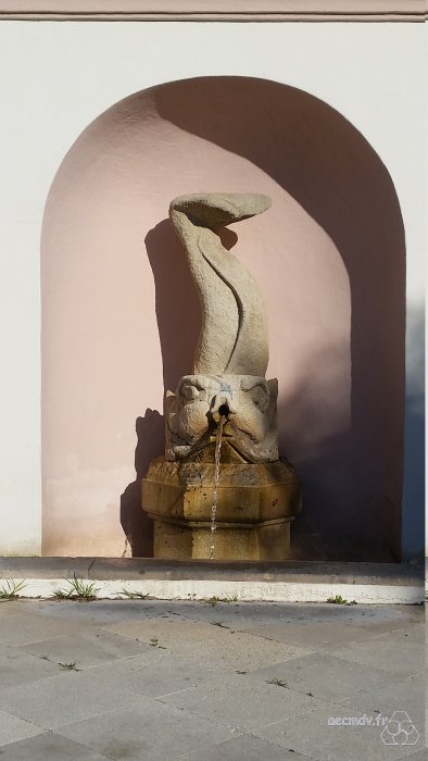 20190102_110604