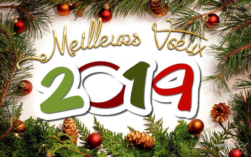 meilleurs-voeux2-2019