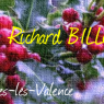 Voeux