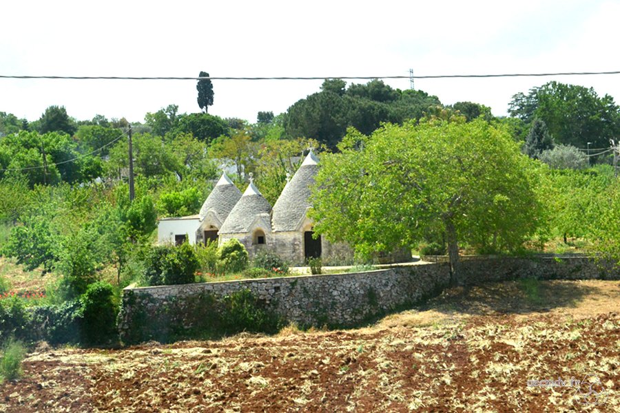1126-JLP-Pouilles