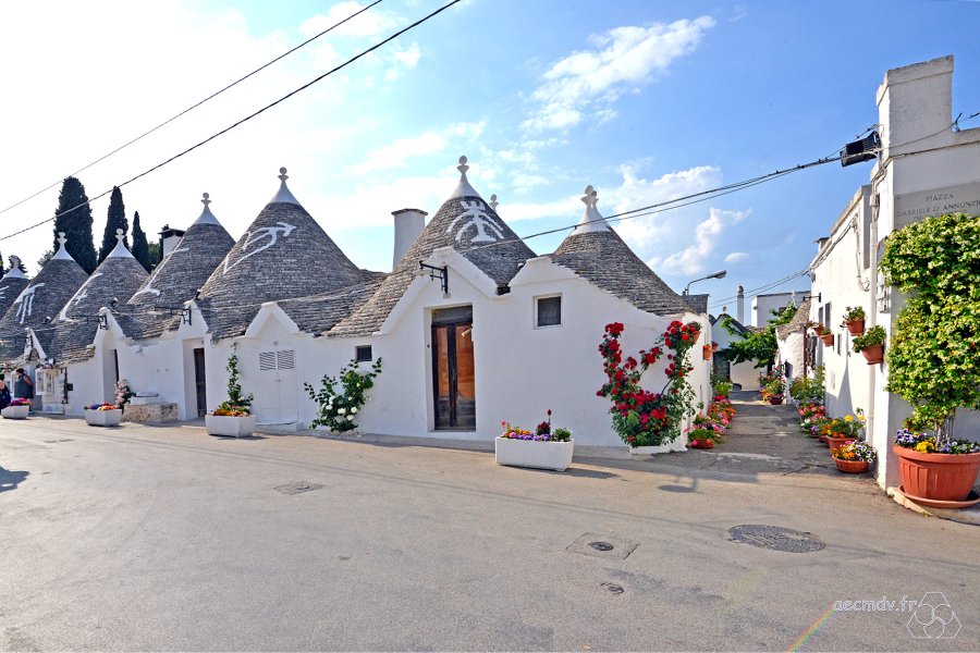 1229-JLP-Pouilles