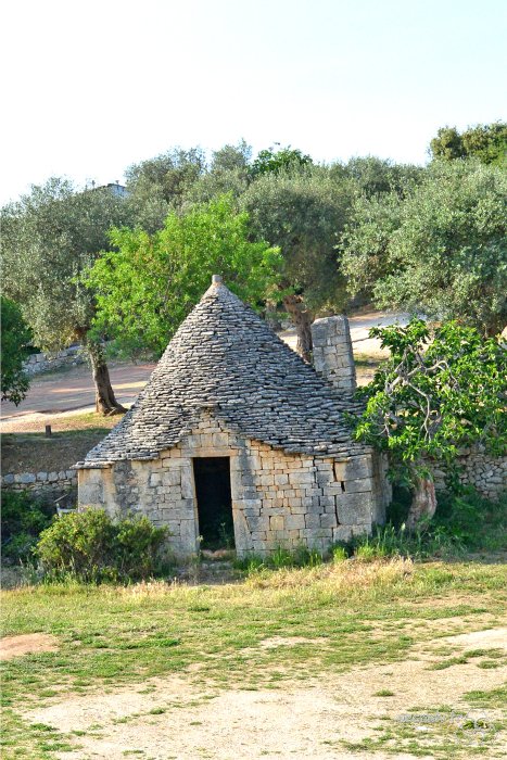 1230-JLP-Pouilles