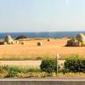 1420-JLP-Pouilles