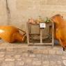 839-JLP-Pouilles