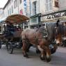 AM_reveillon22-23_08026