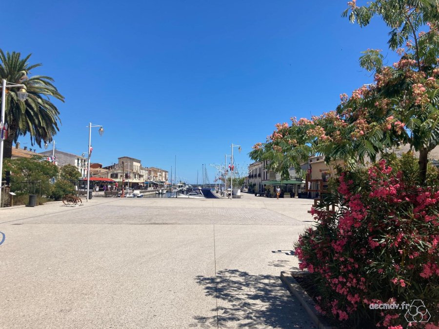 Port de Mèze- Etang de Thau